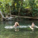 Daintree Rainforest and Cape Tribulation Full Day Tour - Practical Details & Tips