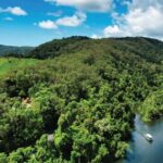 Daintree: River Rainforest Crocodile & Wildlife Cruise (DV) - Who Is This Tour Best For?