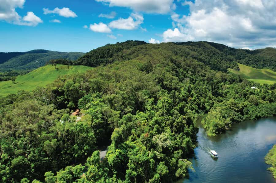 Daintree: River Rainforest Crocodile & Wildlife Cruise (DV) - Who Is This Tour Best For?