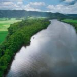 Daintree River Rainforest: Crocodile & Wildlife Cruises (DG) - The Itinerary and What You Can Expect