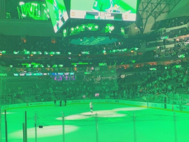 Dallas: Dallas Stars NHL Ice Hockey Game Ticket - The Downsides to Keep in Mind