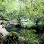 Dandenong Ranges Private Day Tour - What Makes This Tour Stand Out?