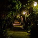 Dark Side of Charleston Guided Night-Time Walking Tour - The Detailed Breakdown of the Experience