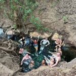 Darwin: 5-Day 4WD Kakadu Litchfield Tour & Billabong Cruise - Final Thoughts: Is This Tour Right for You?