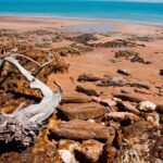 Darwin: Big Bus Open-Top Hop-on Hop-off Tour - Who Will Love This Tour?