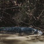 Darwin: Kakadu National Park Day Tour with Lunch - Who Is This Tour Best For?