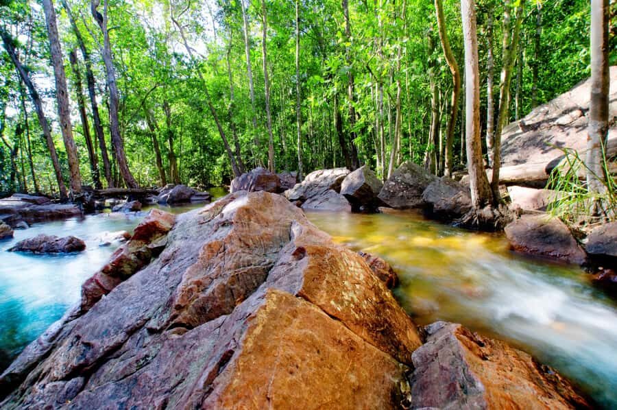 Darwin: PRIVATE Litchfield Park Sub-Tropical Escape - What Makes This Tour Stand Out?