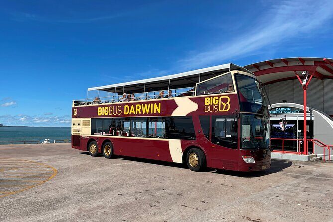 Darwin Shore Excursion: Hop-on Hop-off Bus Tour - What We Loved About the Tour