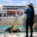 Darwin: VIP Crocosaurus Cove Experience - The Full-Day Park Experience