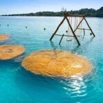 Day at Bacalar! Nature boat trip & Cenote from Cancun - FAQ