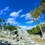 Day at Cancun City Tour! Mayan Ruins With Round Transportation - Who Would Love This Tour?