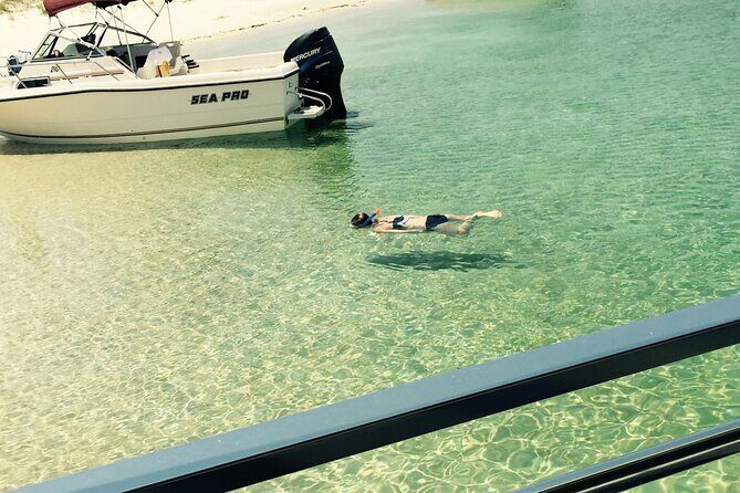 Day Snorkeling Tour in Orange Beach - The Realities of Booking and Organizing