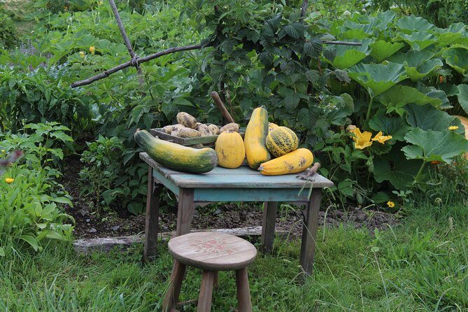 Day Tour Hobbiton + Rotorua from Auckland in Luxury Minibus - Who Is This Tour Best For?