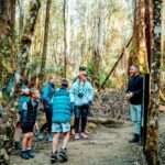 Day Tour in Mt. Field, Mt. Wellington, Bonorong Wildlife Sanctuary and Richmond - What Could Be Improved