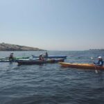 Day Trip From Boston: Kayak Tour through Gloucester Harbor - The Highlights: What Makes This Tour Stand Out