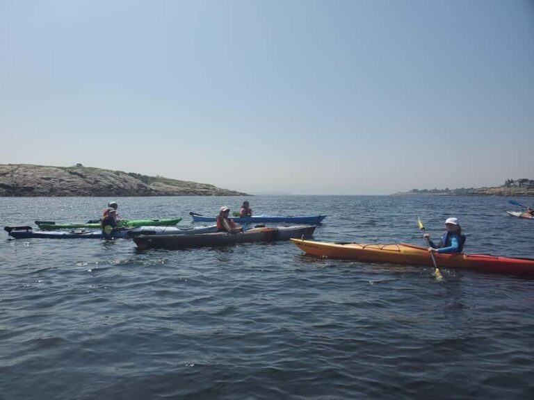 Day Trip From Boston: Kayak Tour through Gloucester Harbor - The Highlights: What Makes This Tour Stand Out