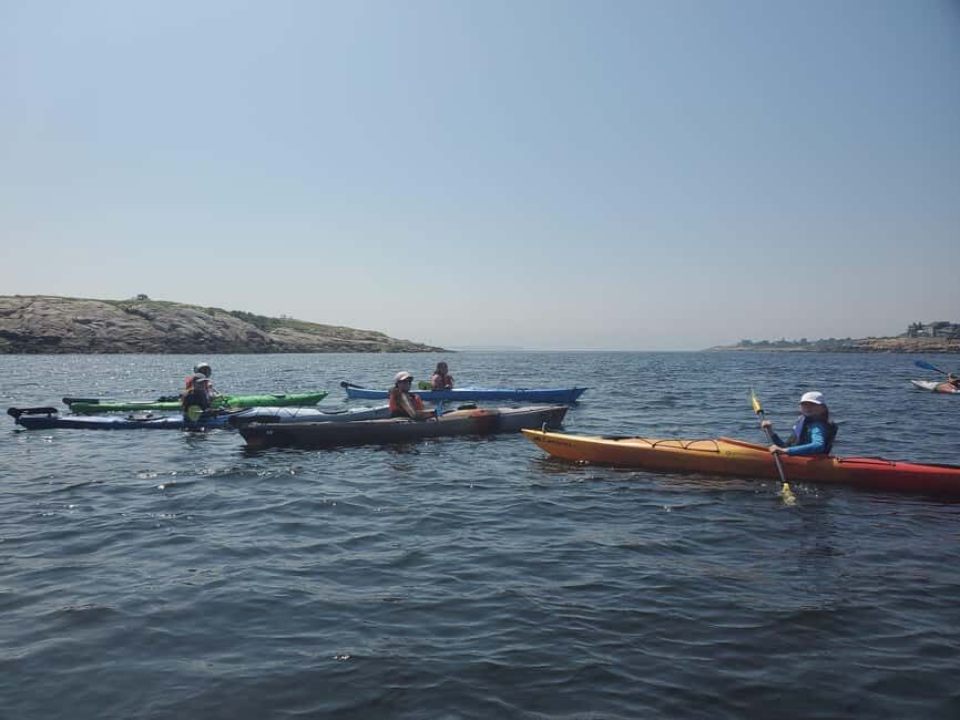 Day Trip From Boston: Kayak Tour through Gloucester Harbor - The Highlights: What Makes This Tour Stand Out