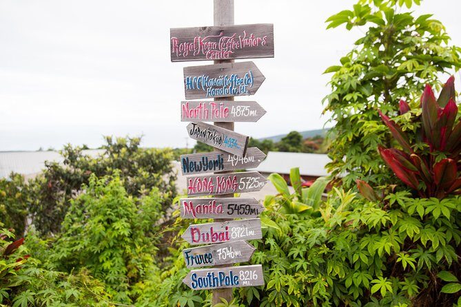 Day Trip from Oahu to Hilo: Volcano Adventure - The Value – Does It Stand Up for the Price?