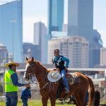 Day trip in Houston Texas with Lunch - How the Experience Feels for Travelers