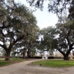 Day Trips to Charleston#7 See Ft Sumter,CarriageTour,Lunch & more - What We Loved About This Tour
