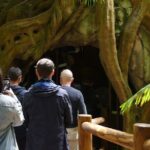 Daytime Scenic Rim Glow Worm Tour + Hop on Hop off Bus - Real Traveler Insights and Honest Feedback