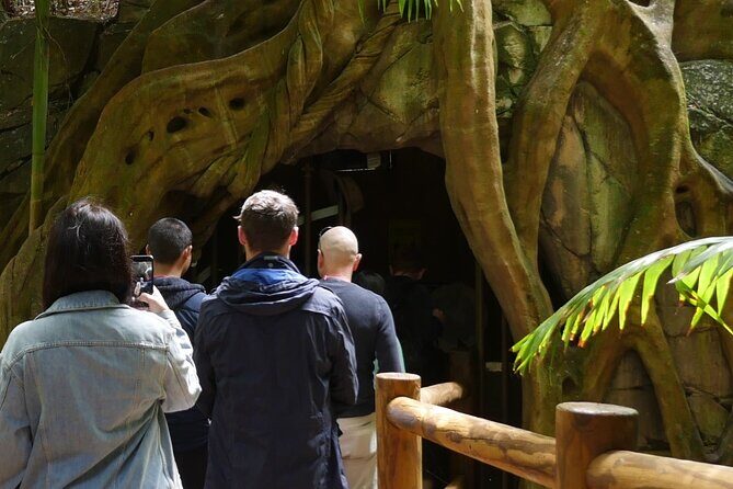 Daytime Scenic Rim Glow Worm Tour + Hop on Hop off Bus - Real Traveler Insights and Honest Feedback