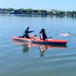 Daytona Beach: Guided Kayaking or Standup Paddling Tour - Valuing the Experience