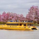 DC: Hop-on Hop-off, Arlington Walking Tour, and Night Tour - What You Can Expect from the Hop-On Hop-Off Bus