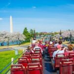 DC: Hop-on Hop-off Bus, Arlington Walking Tour, and Night Tour - The Value and Practical Considerations