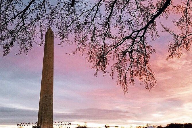 DC Mall w/ Washington Monument Ticket Exclusive Guided Tour - Authentic Traveler Insights