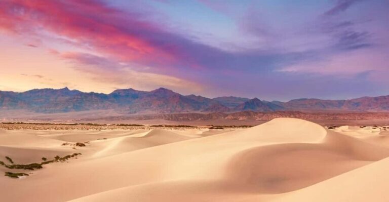 Death Valley an Mojave Desert VIP Small Group Tour Las Vegas - Practical Aspects and Value