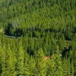 Deep Day Tour to Emerald, Moraine, Louise Lake, J. Canyon... - A Closer Look at the Itinerary