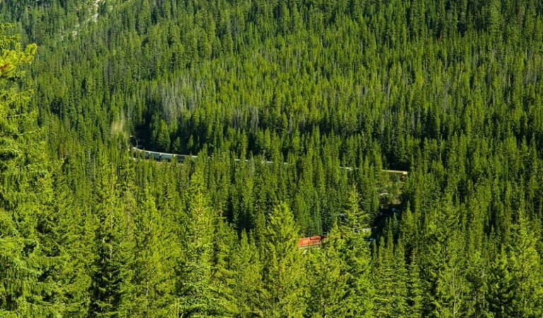 Deep Day Tour to Emerald, Moraine, Louise Lake, J. Canyon... - A Closer Look at the Itinerary