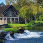 DeLeon Springs River Boat Tour - Pricing and Value