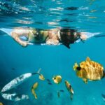 Deluxe Catamaran Swim with Dolphins in Oahu with Waterslide - Authentic Guest Perspectives