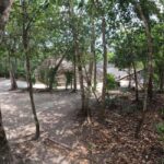 Deluxe Tulum, Coba & 5th Avenue from Cancun - A Closer Look at the Tour’s Highlights