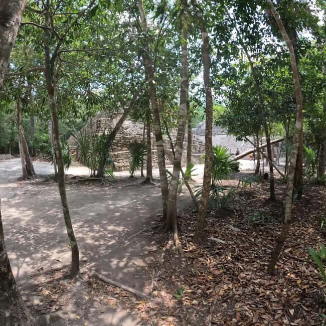 Deluxe Tulum, Coba & 5th Avenue from Cancun - A Closer Look at the Tour’s Highlights