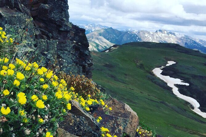 Denali 4 Hour Hiking Adventure with Naturalist Guide - Final Thoughts
