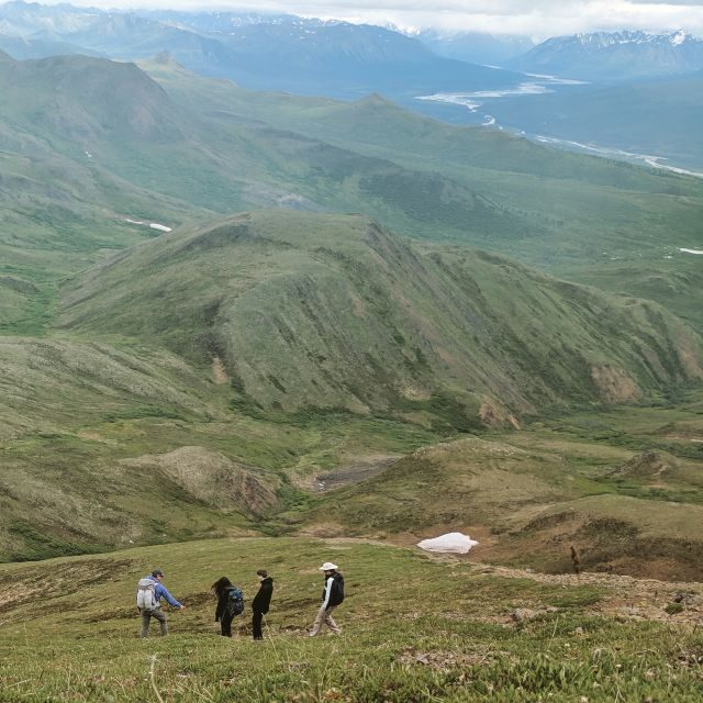 Denali: 5-Hour Guided Wilderness Hiking Tour - The Guides and Educational Value