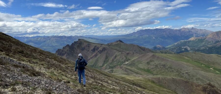 Denali: Denali National Park Walking Tour - Is It Worth the Price?