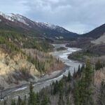 Denali National Park Shuttle - Who Should Book This Tour?