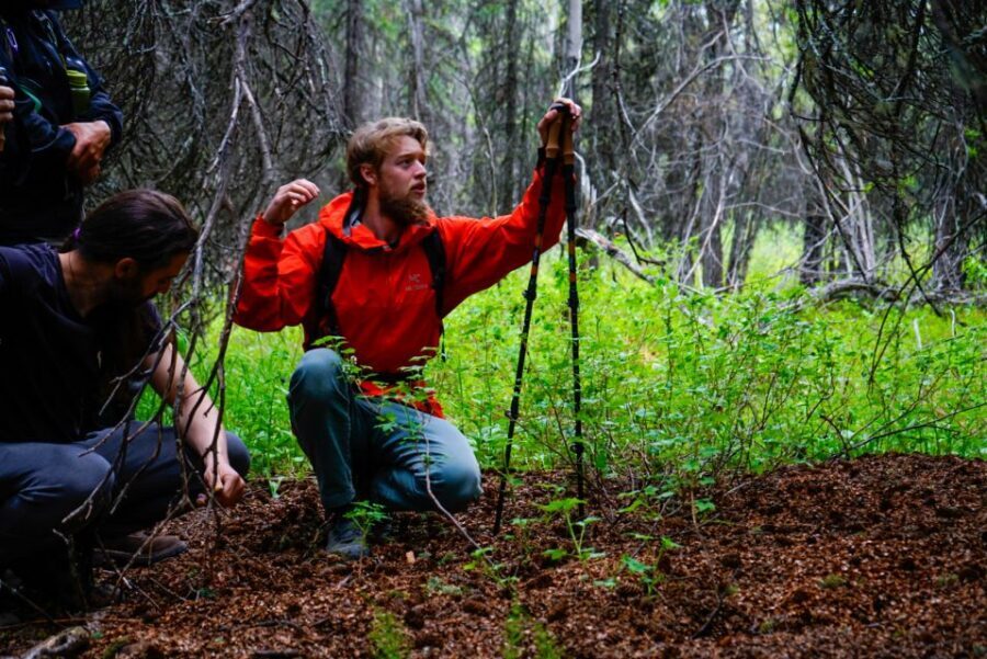 Denali: Naturalist Walking Tour in Denali National Park - What to Expect from the Experience