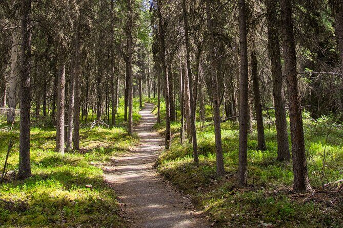 Denali Nature Hike - The Value of Guided Education