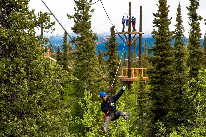 Denali Park Zipline Adventure - The Course: Bridges, Ziplines, and Tree-top Views