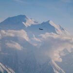Denali Peak Sightseeing by Plane - The Cost and Value