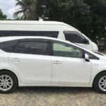 Denarau Hotels to Nadi Airport (Private Departure Transfer) - The Sum Up: Is This Transfer Right for You?