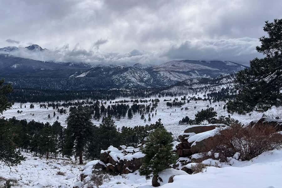 Denver/Boulder: Rocky Mountain National Park Tour - Who Will Love This Tour?