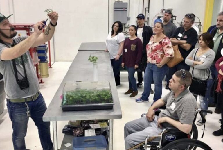 Denver: Cannabis Tour with Grow Facility Access - The Experience: What You’ll See and Do