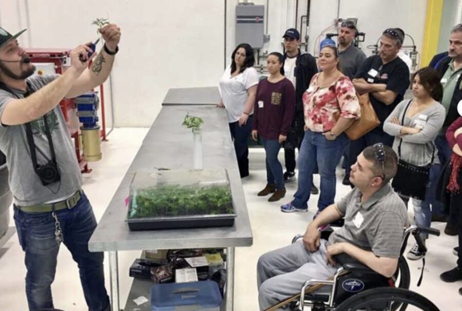 Denver: Cannabis Tour with Grow Facility Access - The Experience: What You’ll See and Do