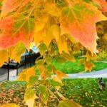 Denver City Highlights Tour - The Practical Details